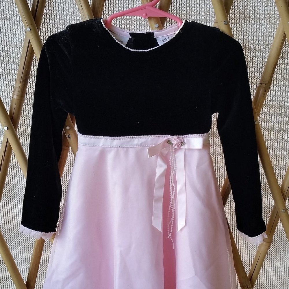 Youngland Toddler Girl's Special Occasion Dress